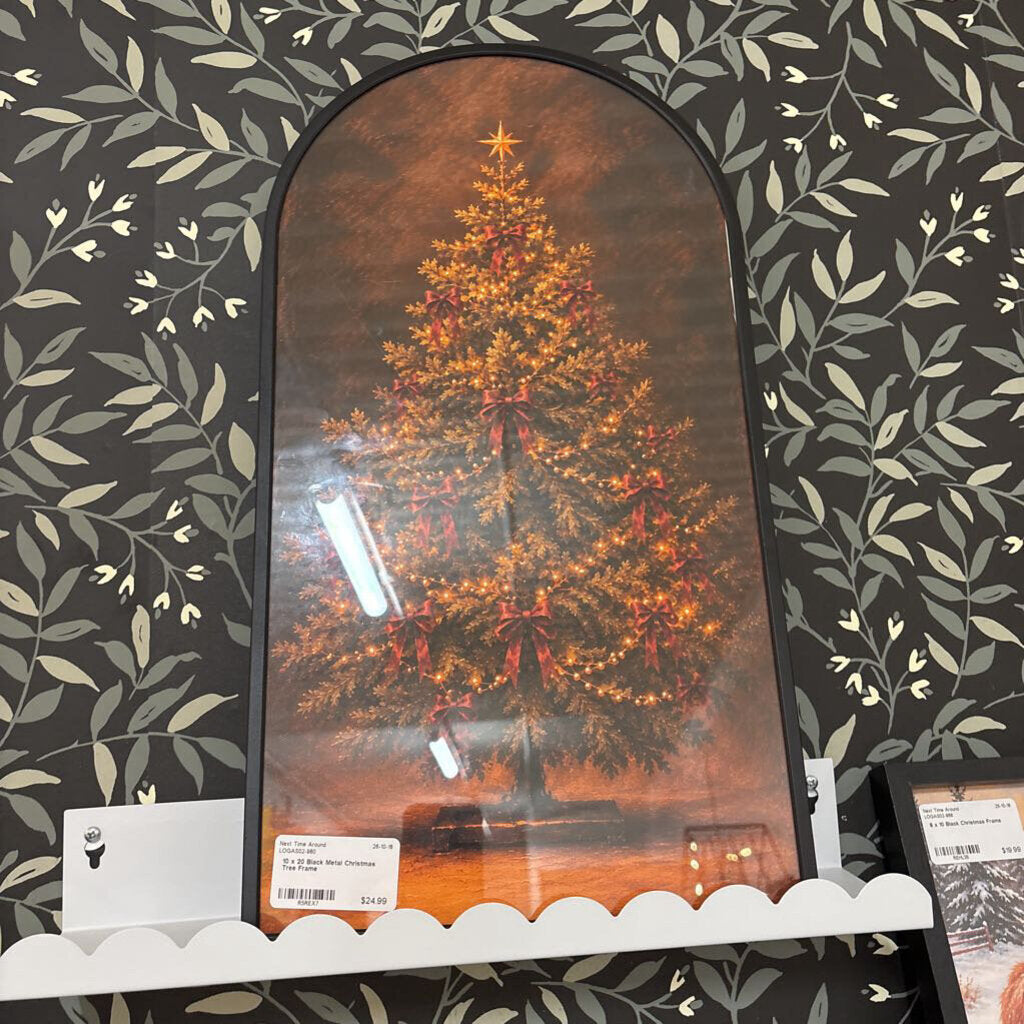 10 x 20 Black Metal Christmas Tree Frame