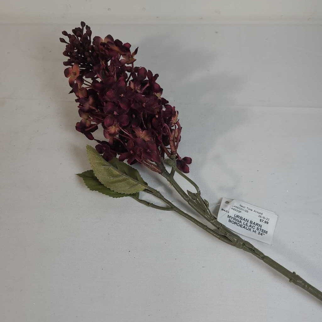 URBAN BARN MYRNA LILAC STEM BORDEAUX