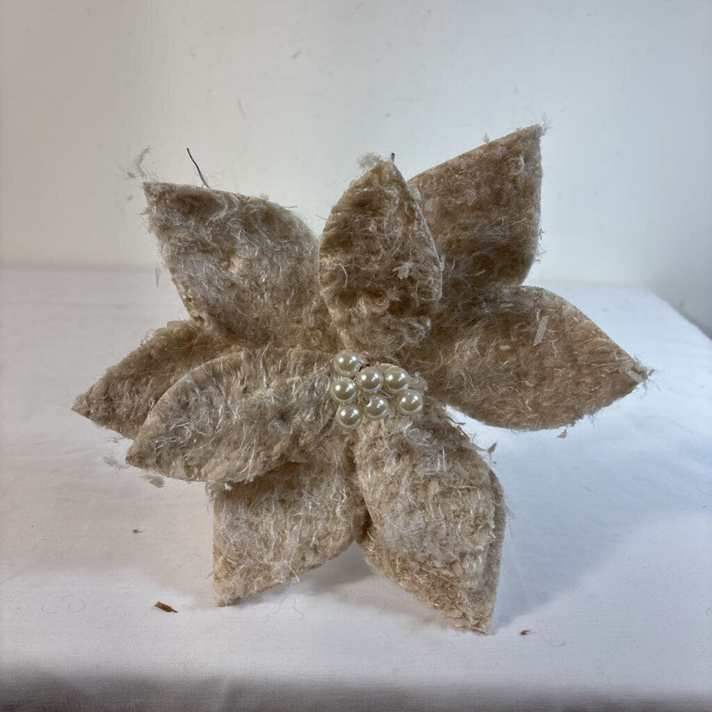 POINSETTIA STEM - CHAMPAGNE BOUCLE