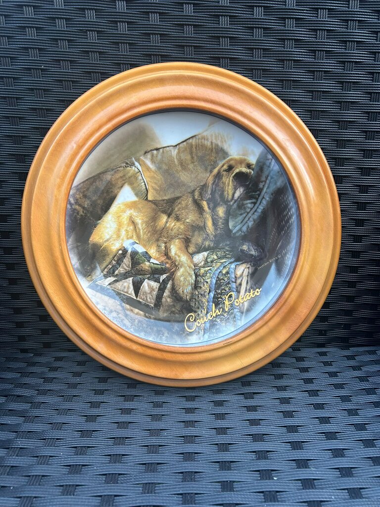 Plate-Dog-Couch Potato