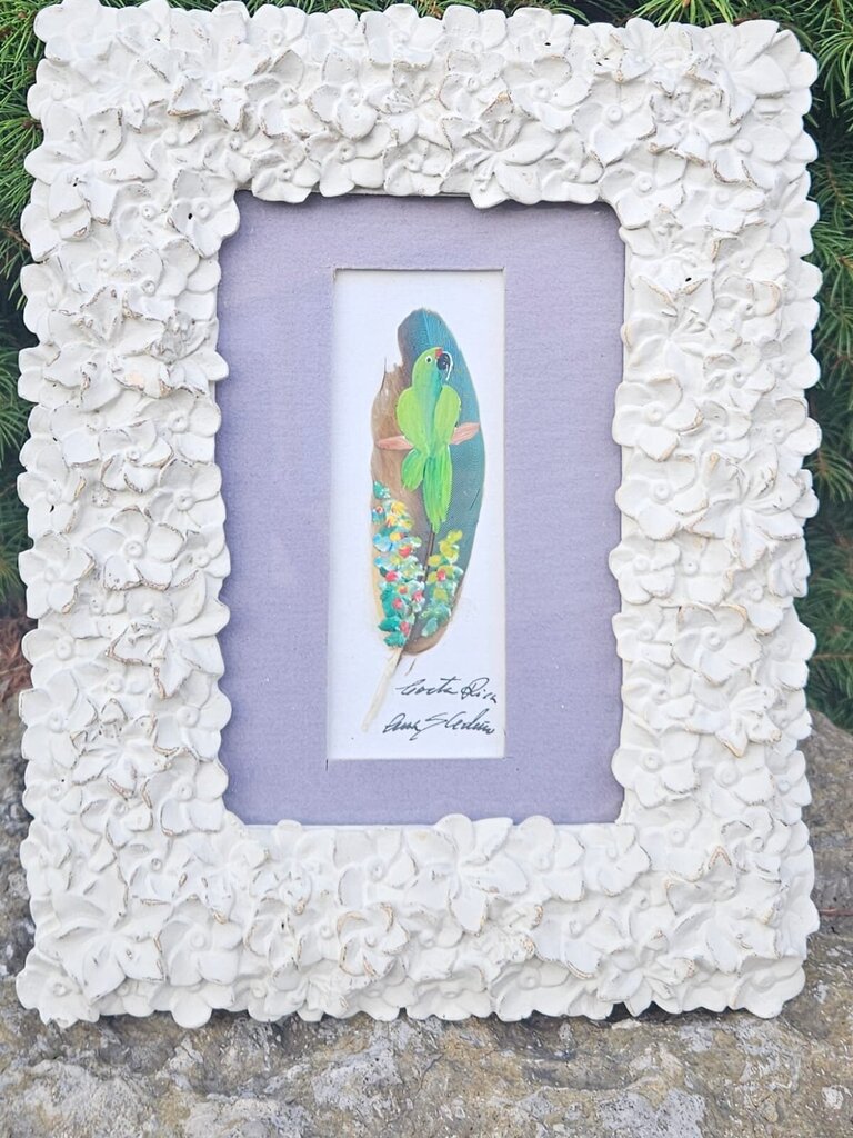 Costa Rica Framed Feather Painting
