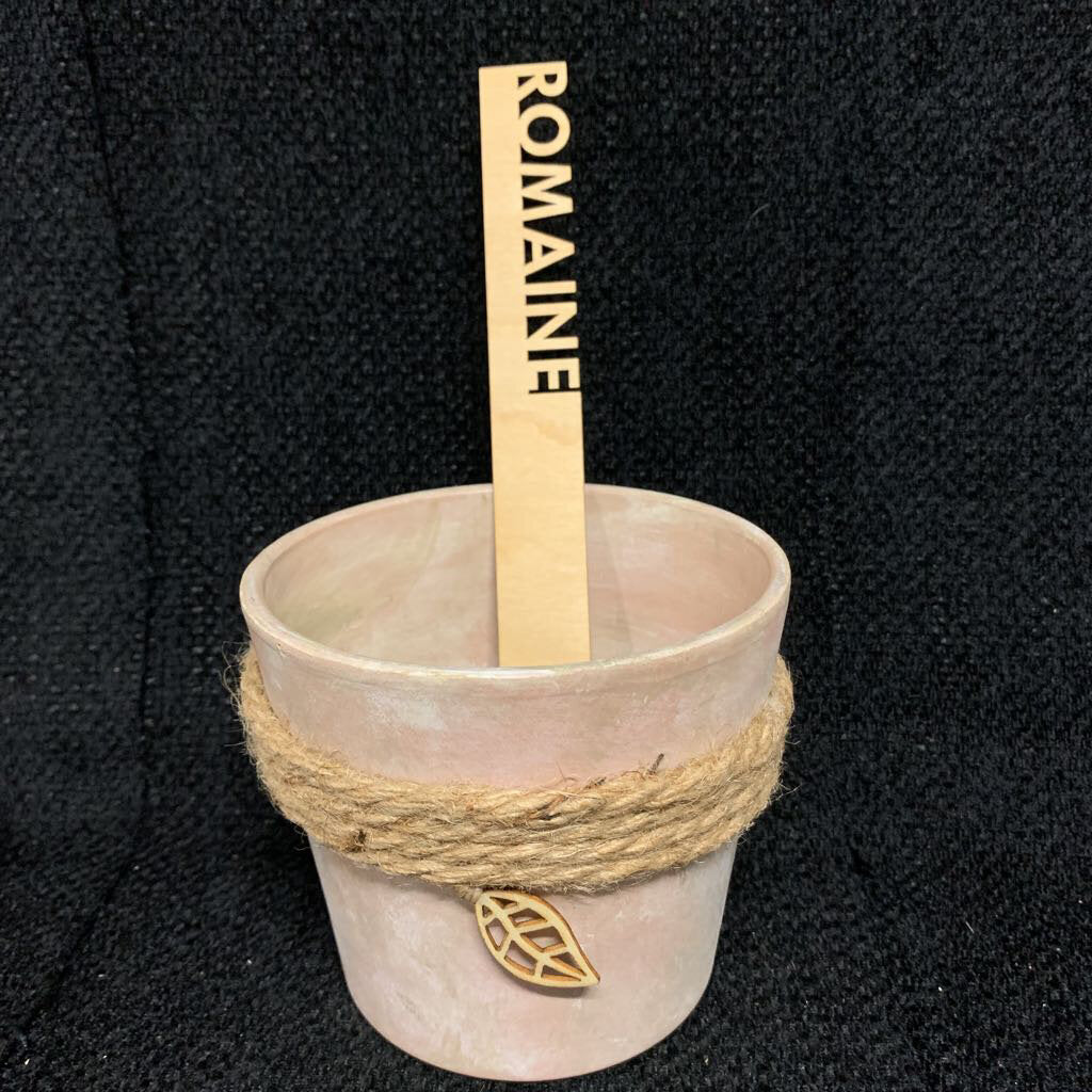 MED VEGGIE GARDEN MARKERS~ROMAINE