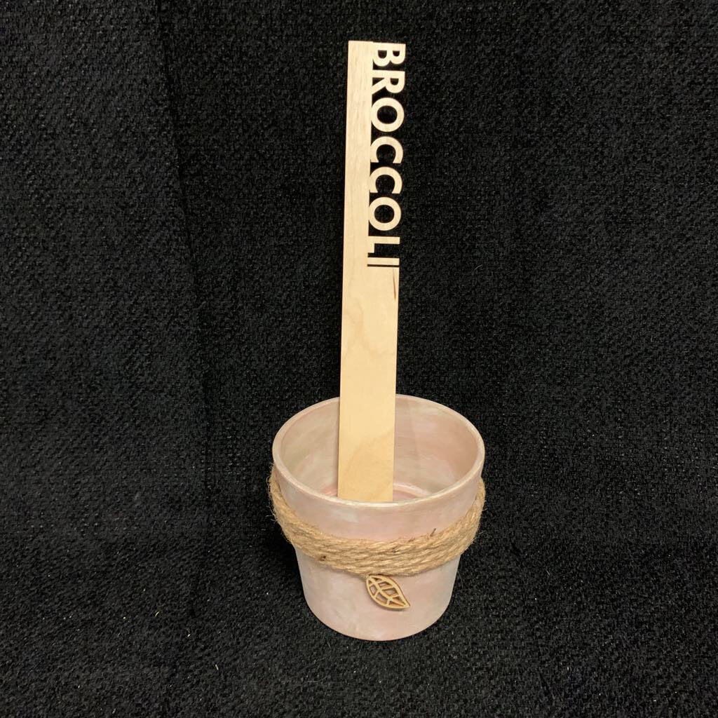 LG VEGGIE GARDEN MARKERS~BROCCOLI
