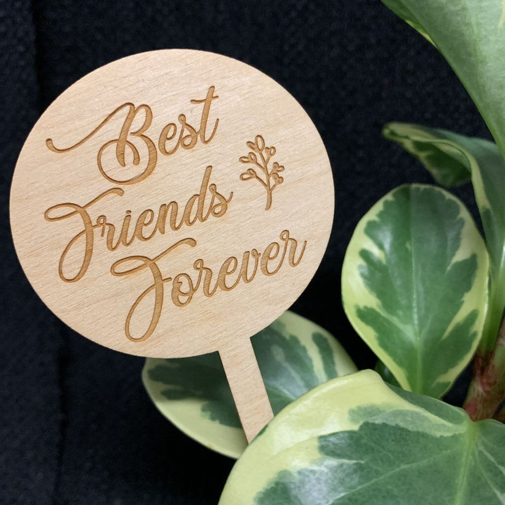 MED PUN STICK~ BEST FRIENDS FOREVER