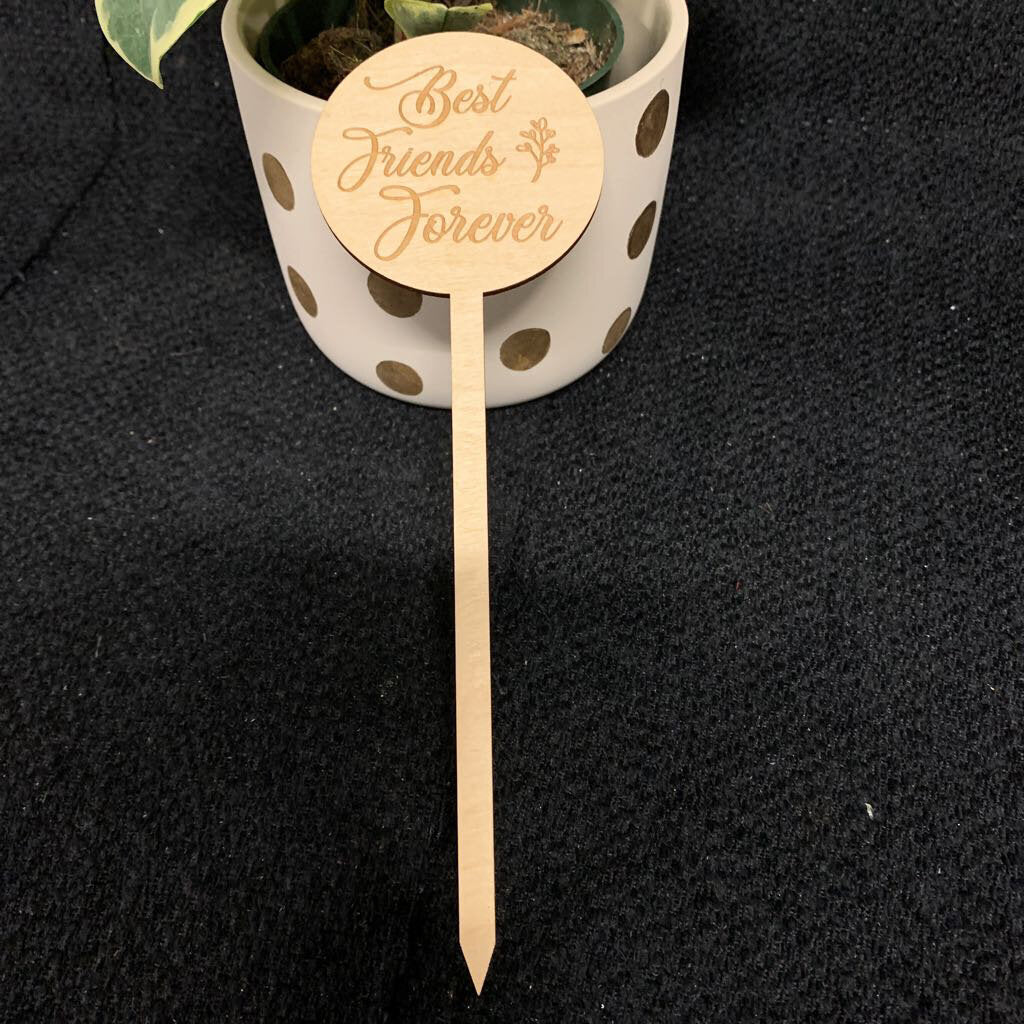 MED PUN STICK~ BEST FRIENDS FOREVER