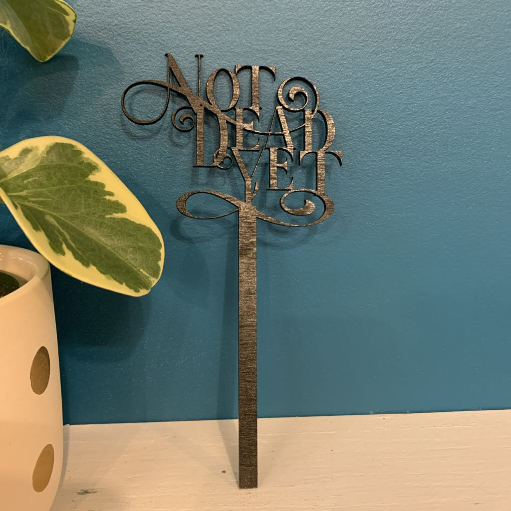 PLANT STICK MED~NOT DEAD YET