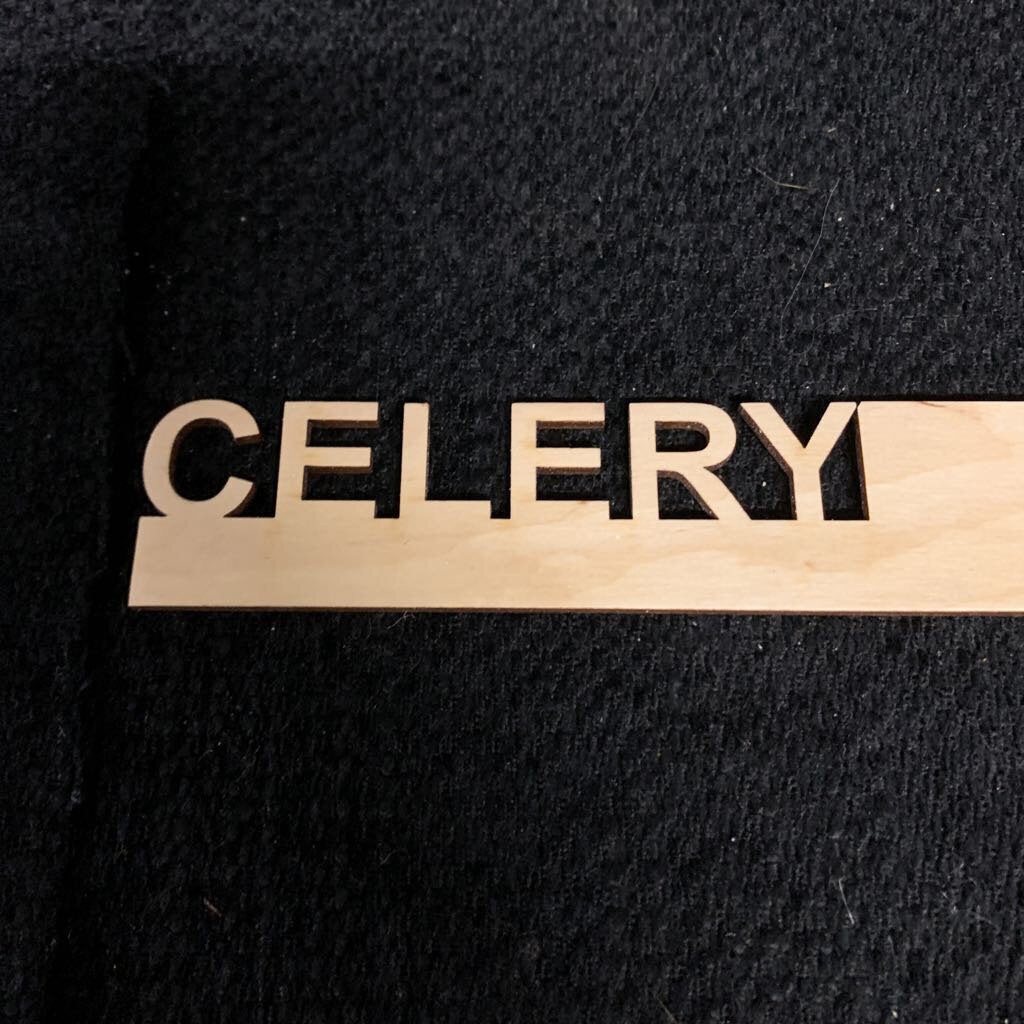 LG VEGGIE GARDEN MARKERS~CELERY