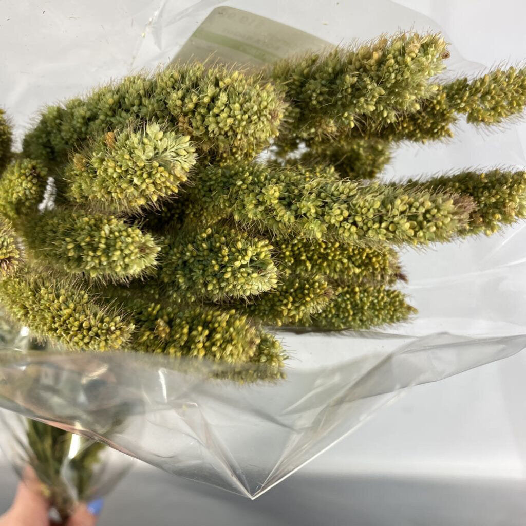 DRIED FLORAL BUNCH - NIB