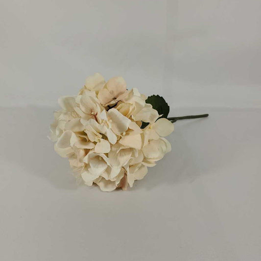 HYDRANGEA PICK