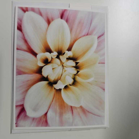 Greeting Card - Pink Flower