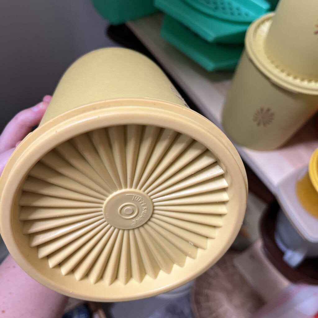 TUPPERWARE SM CONTAINER