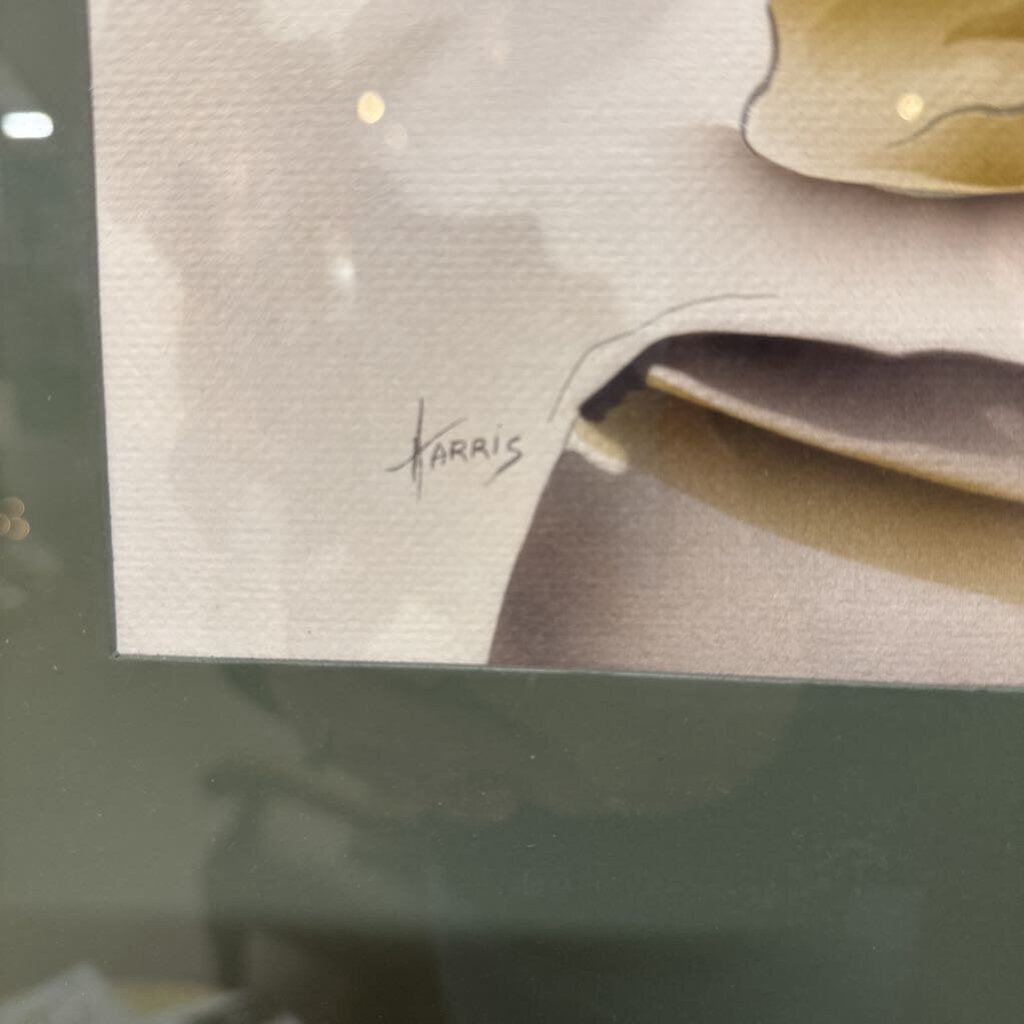 BEN HARRIS AIR BRUSHED WATERCOLOUR