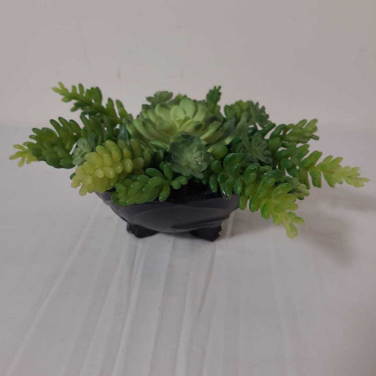 FAUX SUCCULENTS IN BLACK FOOTED DISH