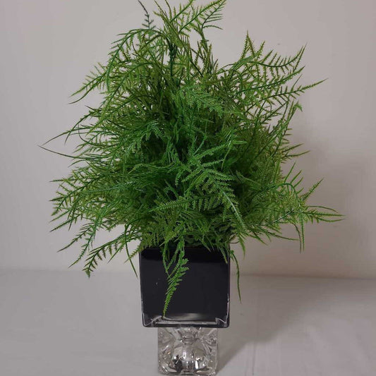 FAUX FERN IN BLACK & GLASS POT