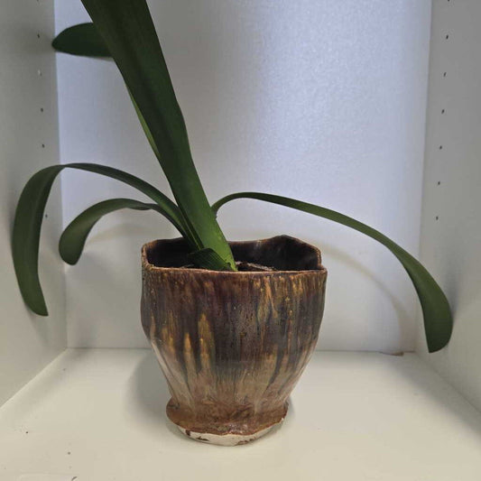 Of Woods and Fields Planter