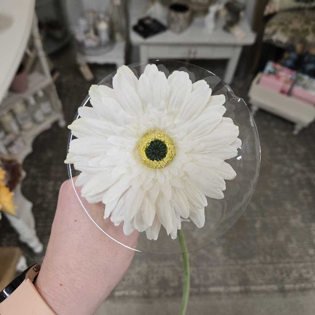 25" Fresh Touch Gerber Daisy Stem - White