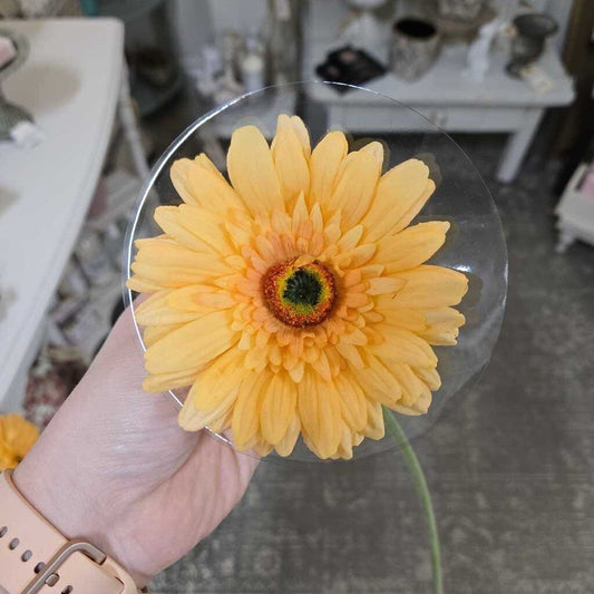 25" Fresh Touch Gerber Daisy Stem - Yellow