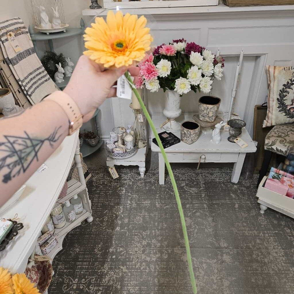 25" Fresh Touch Gerber Daisy Stem - Yellow