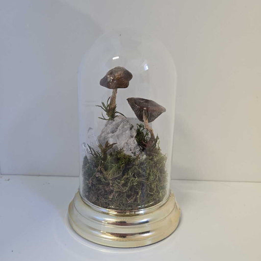 VINTAGE DOME - MUSHROOM & QUARTZ