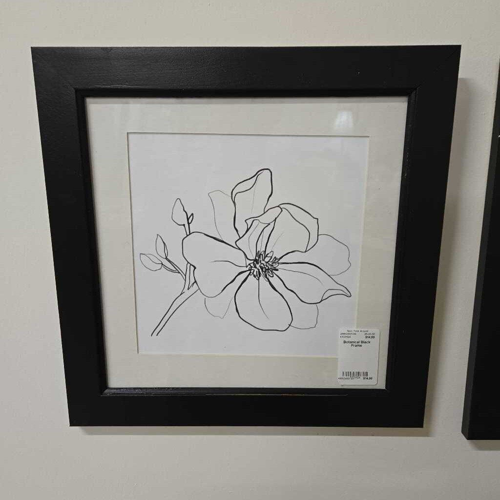 Botanical Black Frame