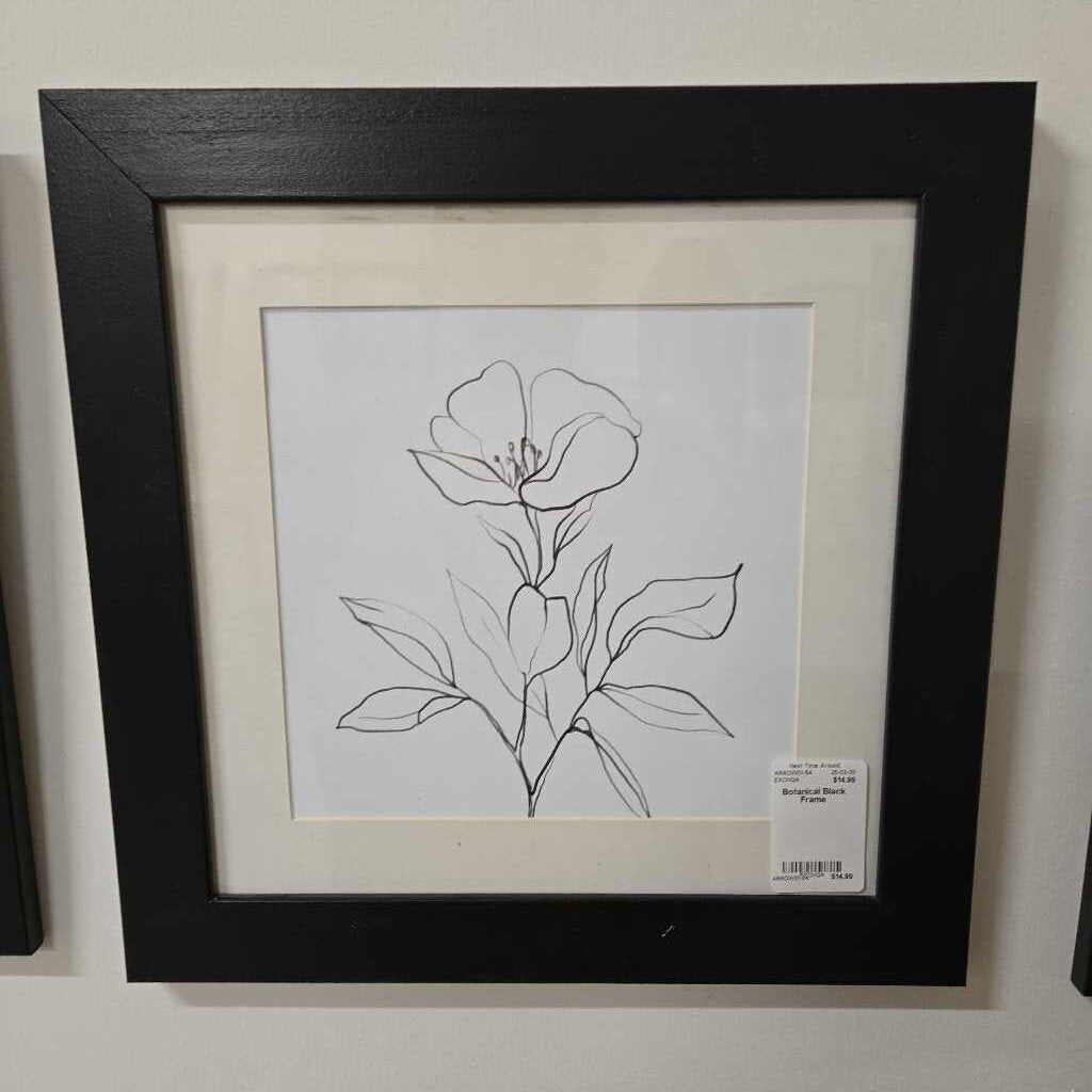 Botanical Black Frame