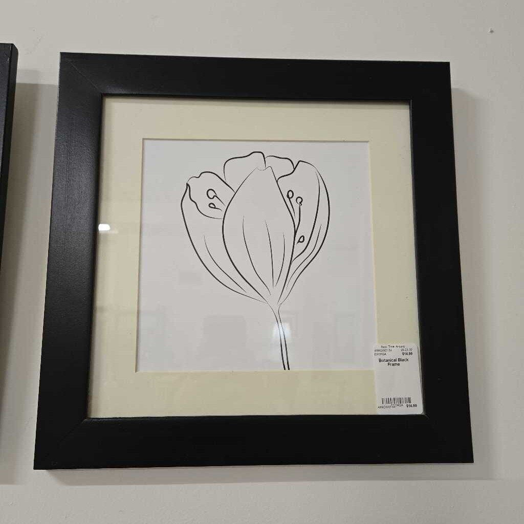 Botanical Black Frame