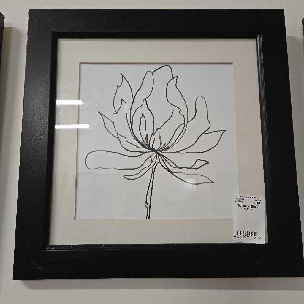 Botanical Black Frame
