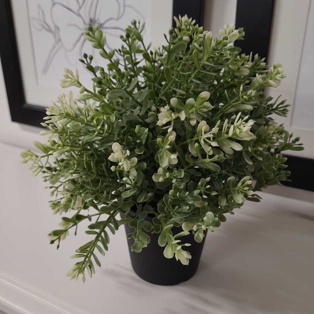 Decor Greenery