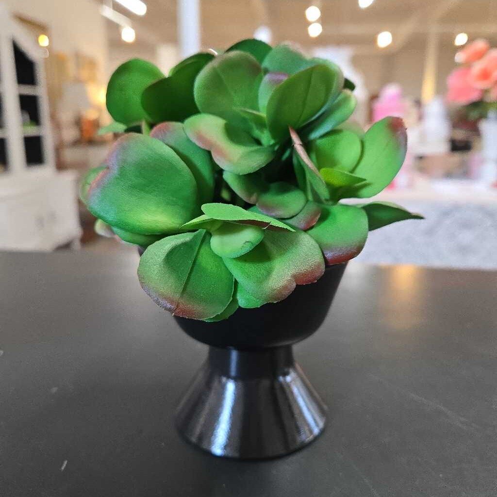 FAUX RED TIPPED SUCCULENTS IN BLACK POT