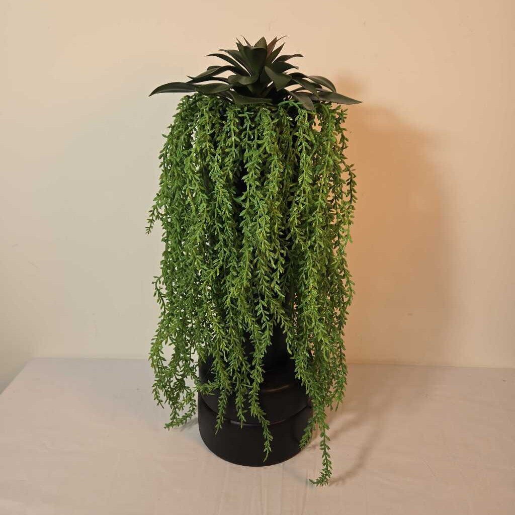 19" SUCCULENT W/TRAILING GREENERY