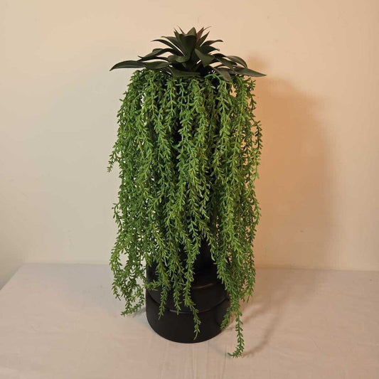 19" SUCCULENT W/TRAILING GREENERY