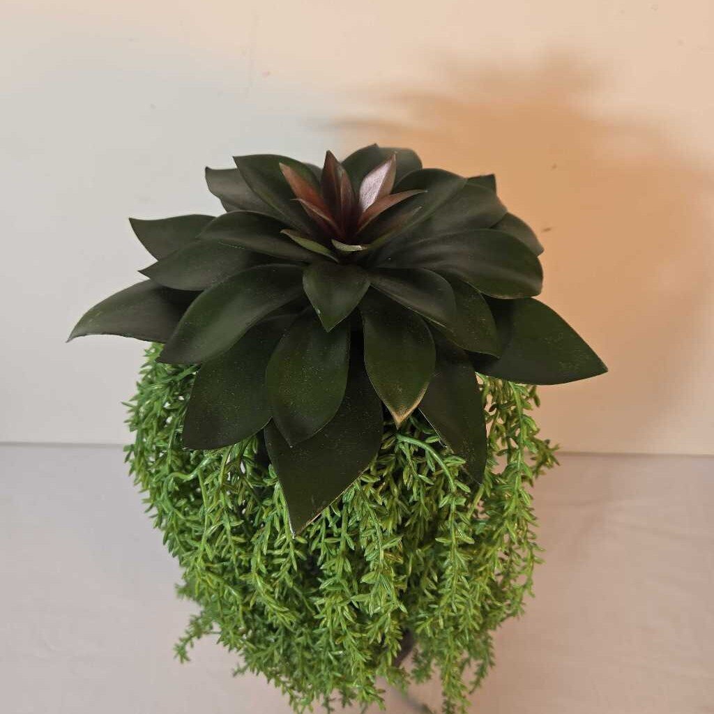 19" SUCCULENT W/TRAILING GREENERY