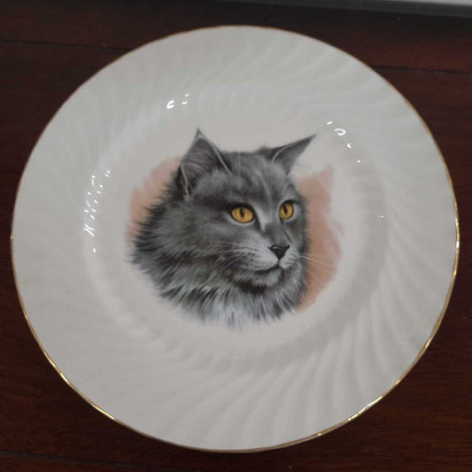 ROYAL STAFFORDSHIRE GRAY CAT PLATE WITH GOLD RIM FROM ENGLAND