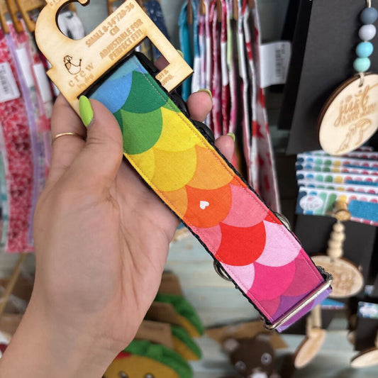 Collar 1.5" Full of Pride