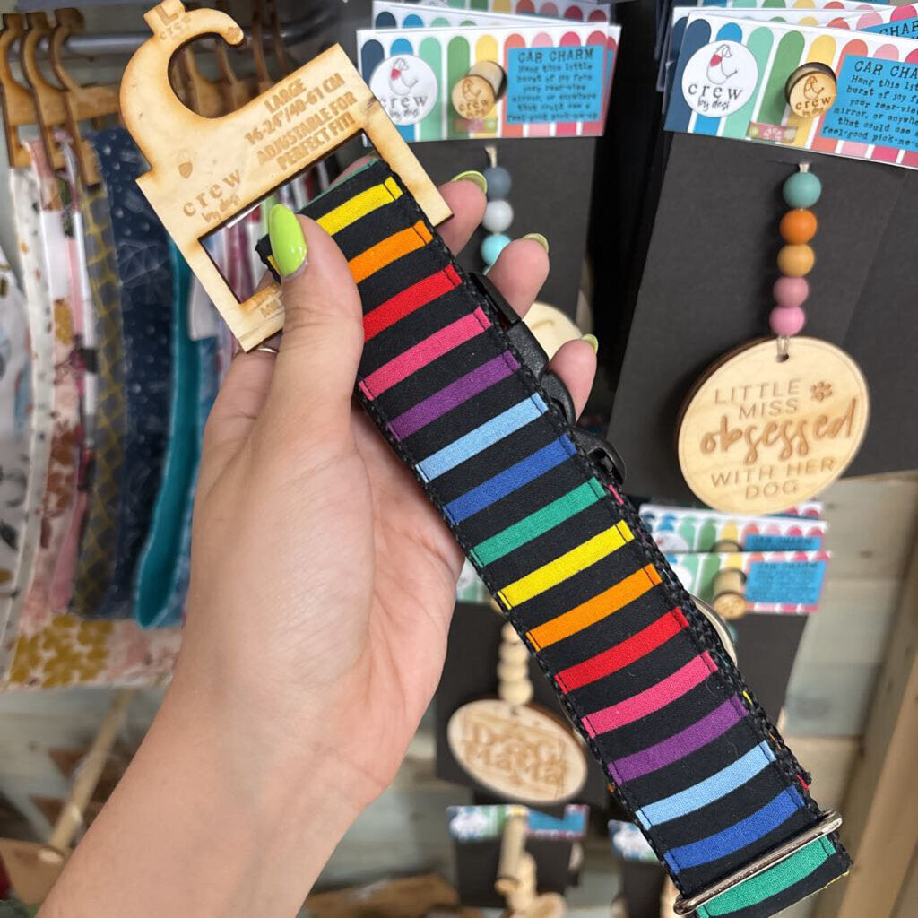 Collar 1.5" Rainbow Stripe Black