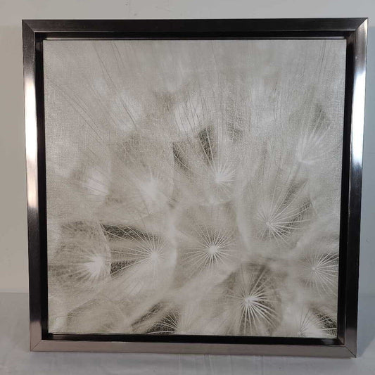 PAPPUS W/SILVER FRAME