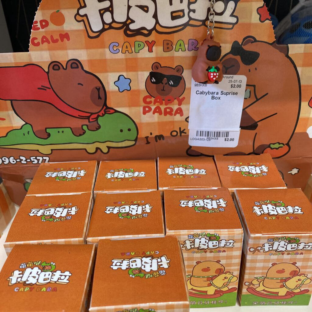 Cabybara Suprise Box