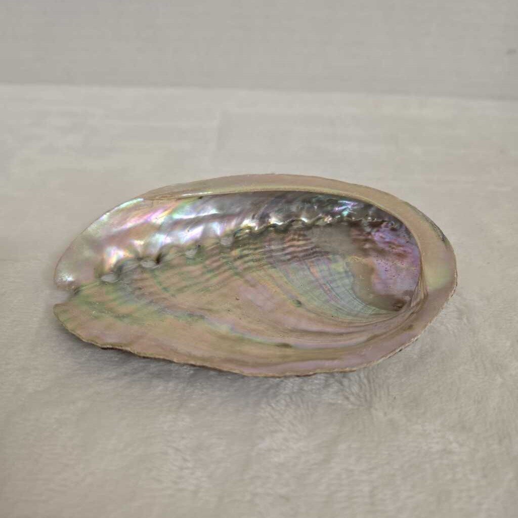 Shell