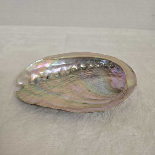 Shell