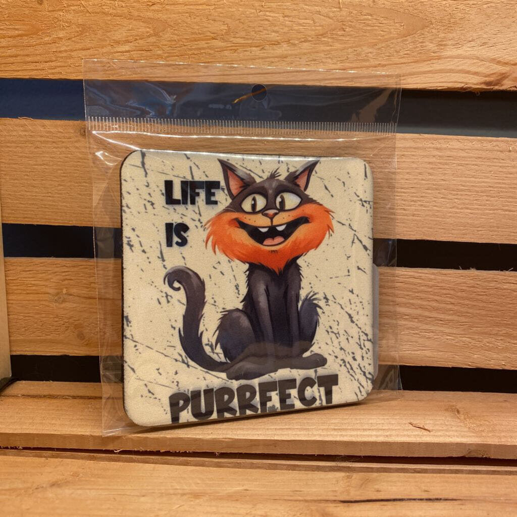 COASTER - LIFE IS PURRECT (CAT)