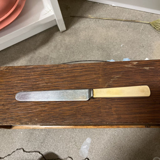 Vintage Stainless Steel KNives