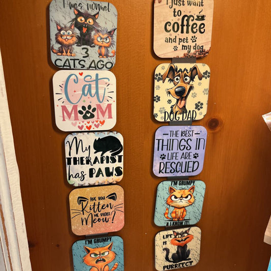 MAGNET - CAT