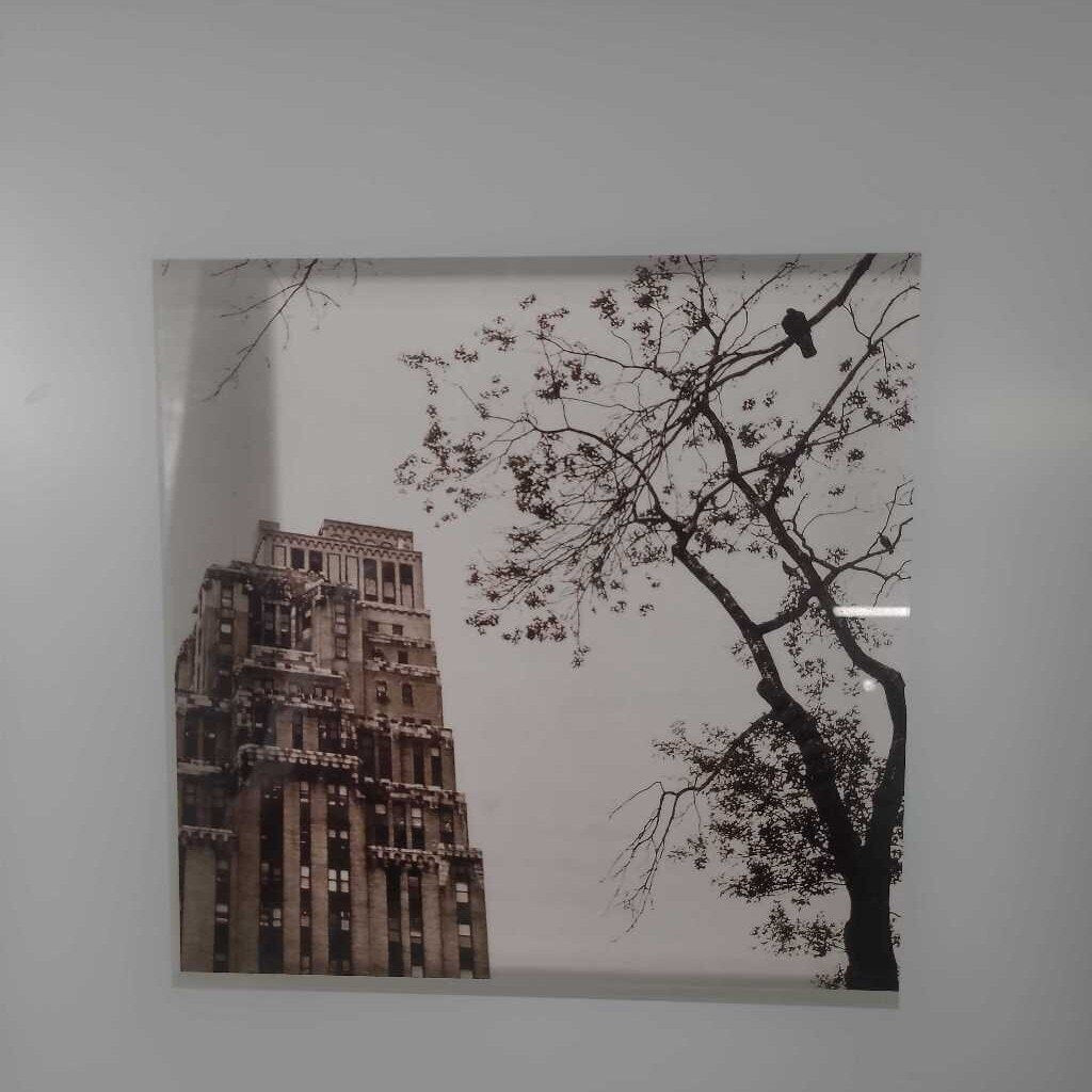 NEW YORK PHOTO'S IN FRAME