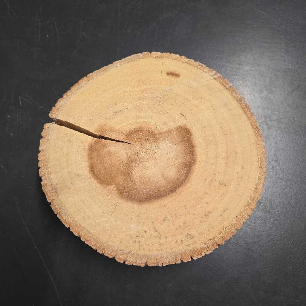 WOOD SLICE RISER