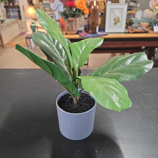 FAUX FIDDLE LEAF FIG