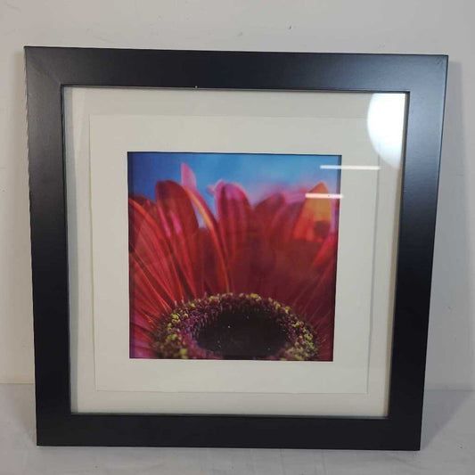 DAISY PRINTS BLACK FRAME