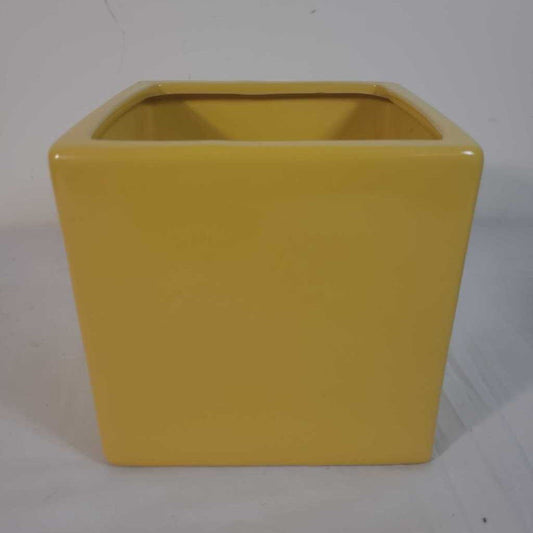 YELLOW PLANTER