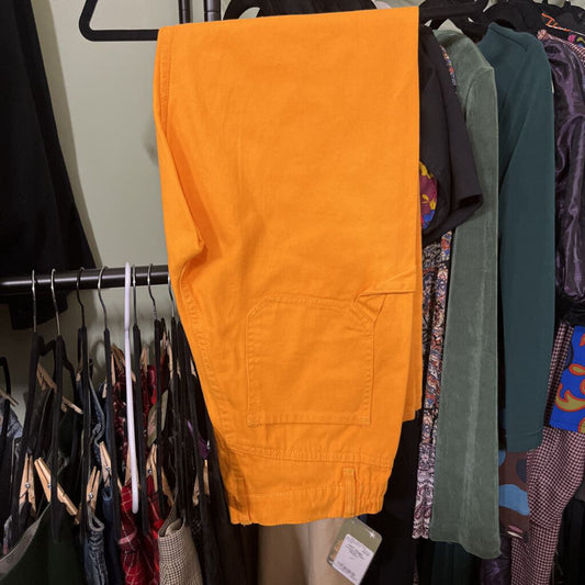 NWT Baggy Carpenter Pant