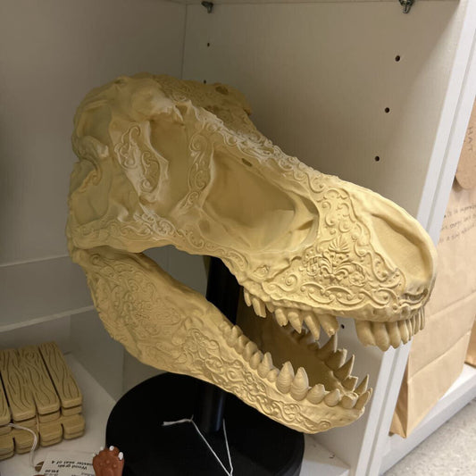 Dinosaur Skall display