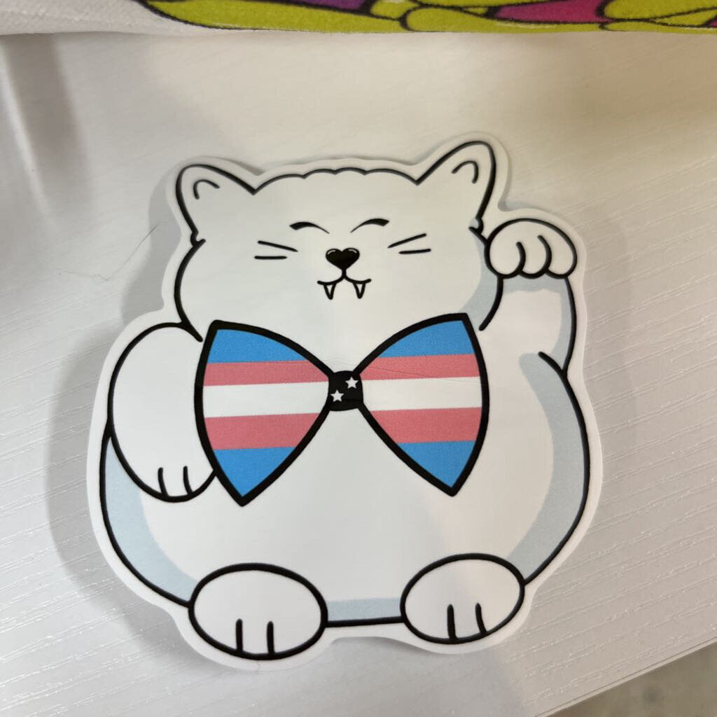 TRNS PRIDE VINYL